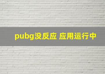 pubg没反应 应用运行中